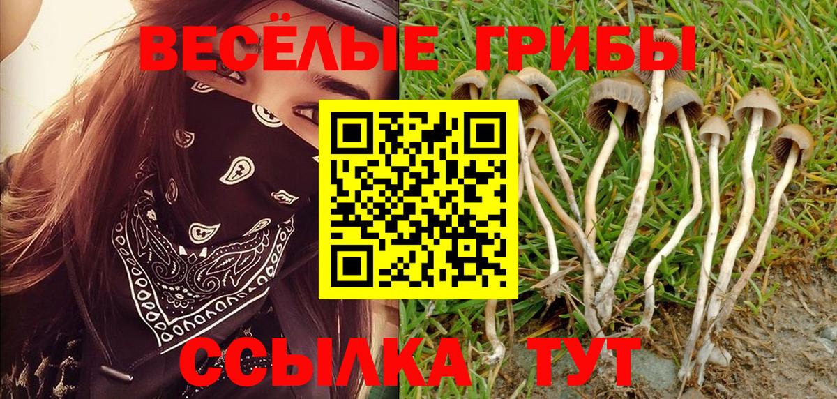 Псилоцибиновые грибы GOLDEN TEACHER Чистополь